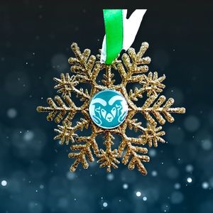 Colorado State RAMS Handmade Snowflake *NEW*